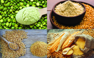 Plant Protein Articles & Research