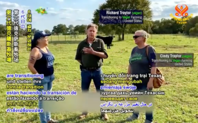 Longtime cattle ranchers from Texas, United States, switch to vegan diet and crop farming