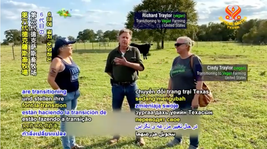 Longtime cattle ranchers from Texas, United States, switch to vegan diet and crop farming