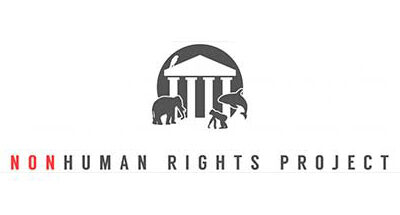 NonHuman Rights Project