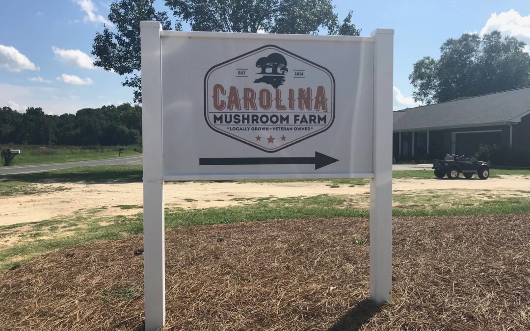 Carolina Mushroom Farms